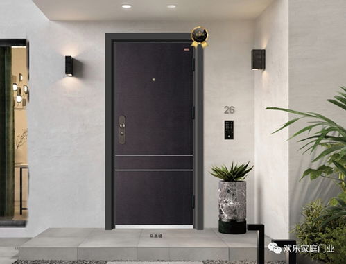 歡樂家庭門業(yè)2020年高端防護(hù)安全門最新樣品賞析